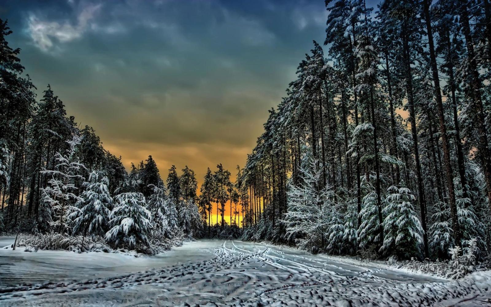 1920x1200 Wallpaper Canada, Ontario, winter, snow, footprints, trees, sunset