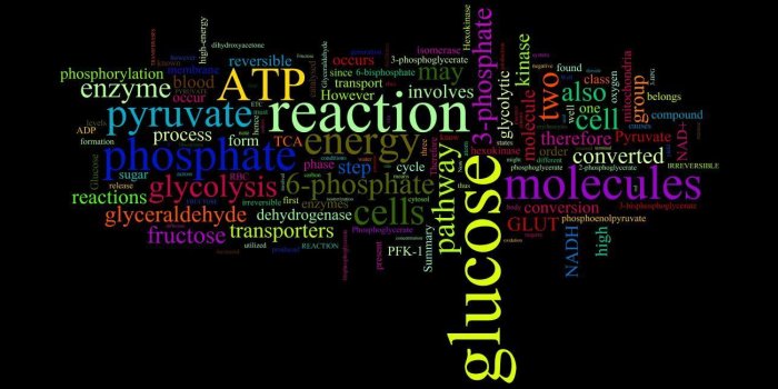 1358x650 Biochemistry Wallpapers