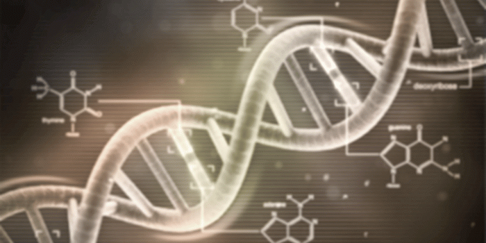 1600x1200 46+] Biochemistry Wallpaper on WallpaperSafari