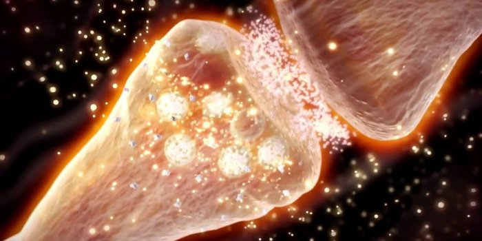 1280x720 Introduction to Biochemistry HD