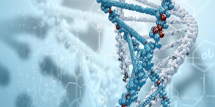 1600x1200 Biochemistry Wallpaper-3DQ224X.jpg - Picserio.com