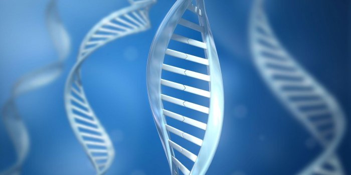 1600x1600 Best 53+ Bioscience Wallpaper on HipWallpaper | Bioscience Wallpaper