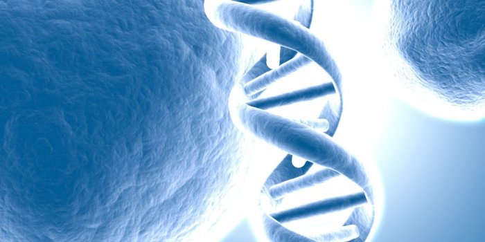 1440x900 Biochemistry Wallpaper (44+) - HD Nice Wallpapers