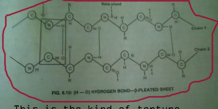 1600x1200 Biochemistry Wallpaper , (44+) Pictures