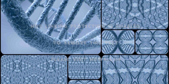 3840x2160 biology cells