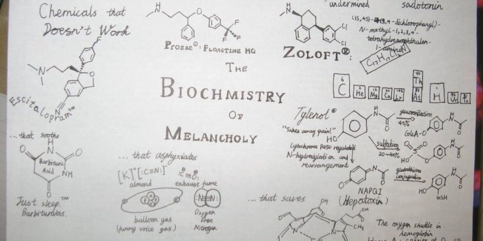 1032x774 Picture Suggestion For Biochemistry Wallpaper 1032x774 (140.45 KB)