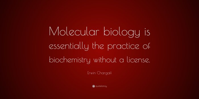 3840x2160 Erwin Chargaff Quote: “Molecular biology is essentially the practice