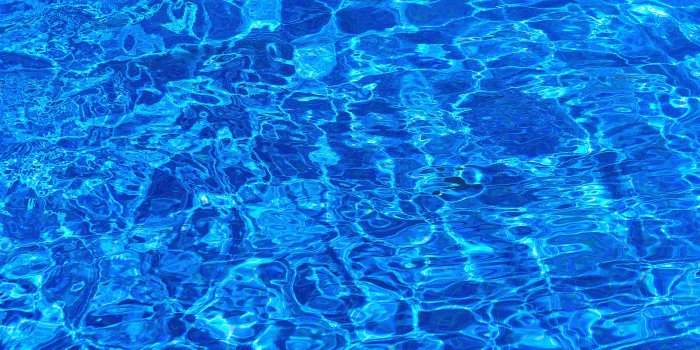 4256x2832 Biochemistry Review Questions