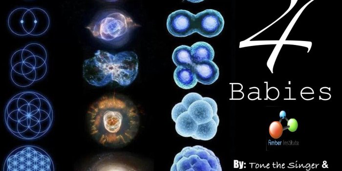 1024x768 BioChemistry 4 Babies Book |