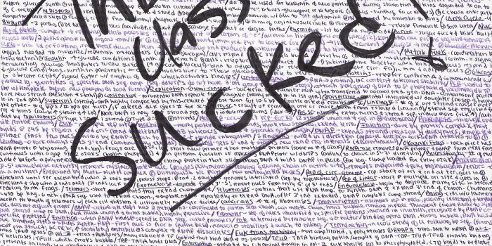 1678x2107 Picture Suggestion For Biochemistry Wallpaper 1678x2107 (3666.11 KB)