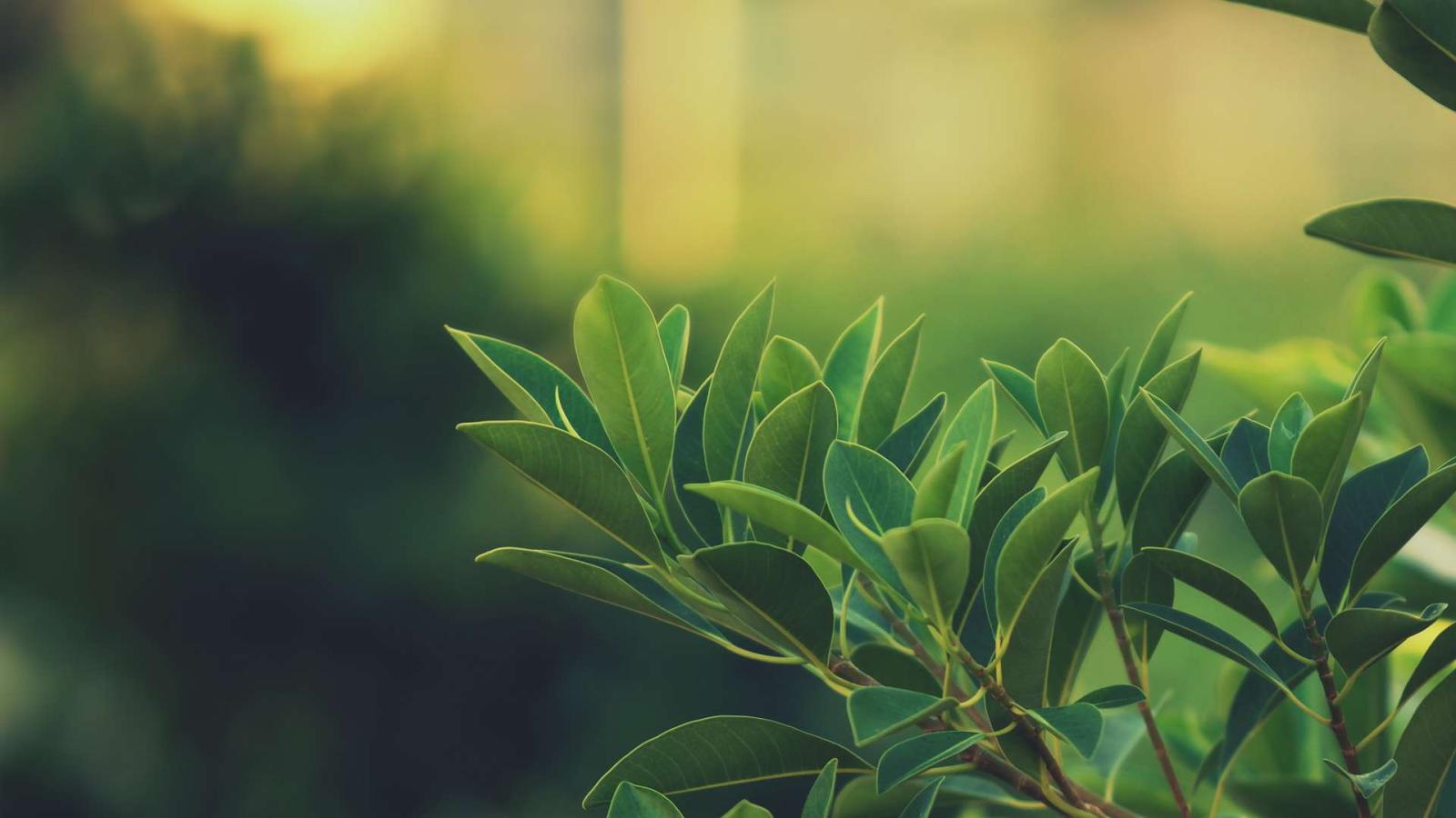 1920x1080 Soft Light HD Wallpaper » FullHDWpp - Full HD Wallpapers 1920x1080