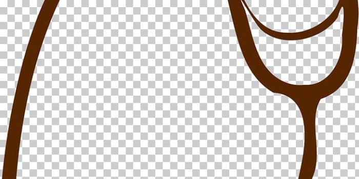 728x1201 Stethoscope Heart Nursing PNG, Clipart, Area, Black And White
