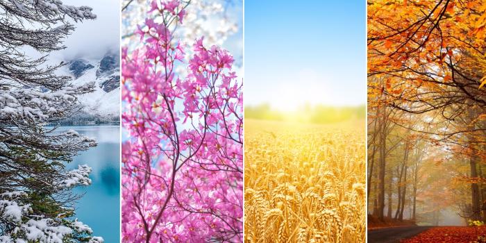 3840x2160 65+ Seasons Wallpapers on WallpaperPlay