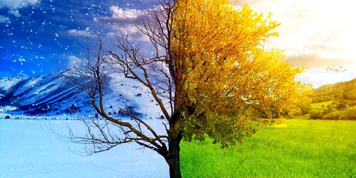 2560x1440 50+ Four Seasons Wallpapers on WallpaperPlay