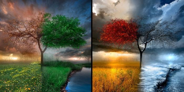 1920x1080 65+ Seasons Wallpapers on WallpaperPlay