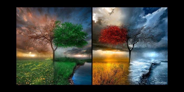 1920x1080 65+ Seasons Wallpapers on WallpaperPlay