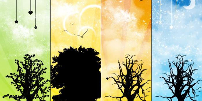 1280x1024 Seasons Wallpaper | 1280x1024 | ID:13684