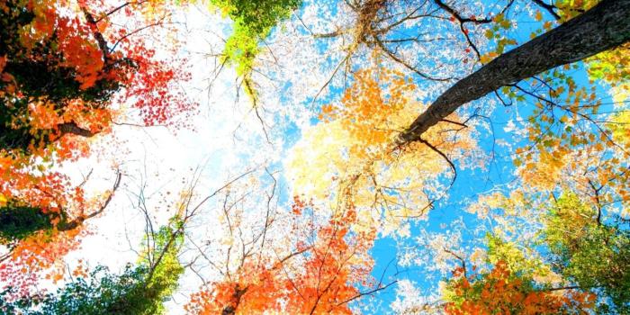 1456x1015 Two Seasons Wallpaper | Wallpapers Style