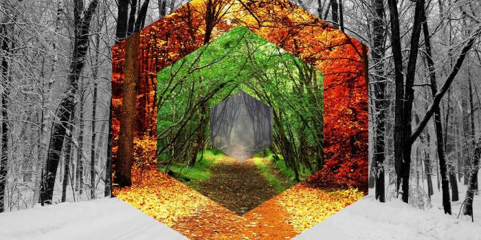 1922x1200 Four Seasons Hexagons Wallpaper | 1922x1200 | ID:62289