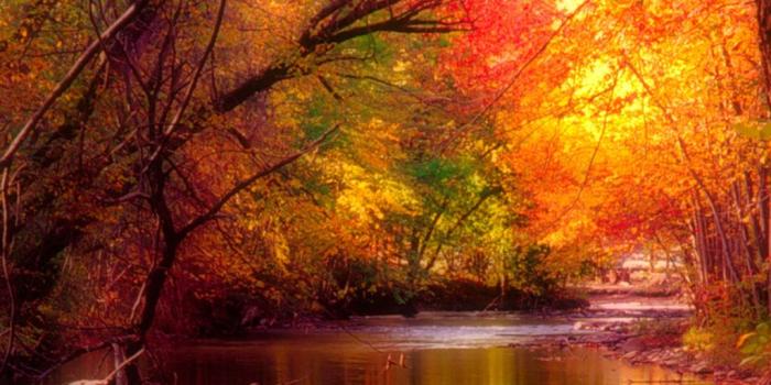 1024x768 Seasons Wallpapers Desktop 1024x768 | WallpapersExpert.com