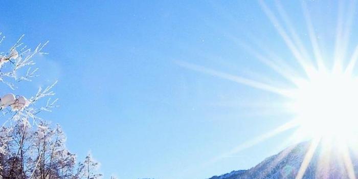 1080x1920 Wallpaper Download 1080x1920 The trees like the winter sun - HD cold