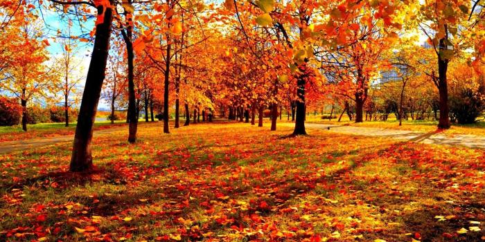 1920x1080 Wallpaper Fall Season ·① WallpaperTag