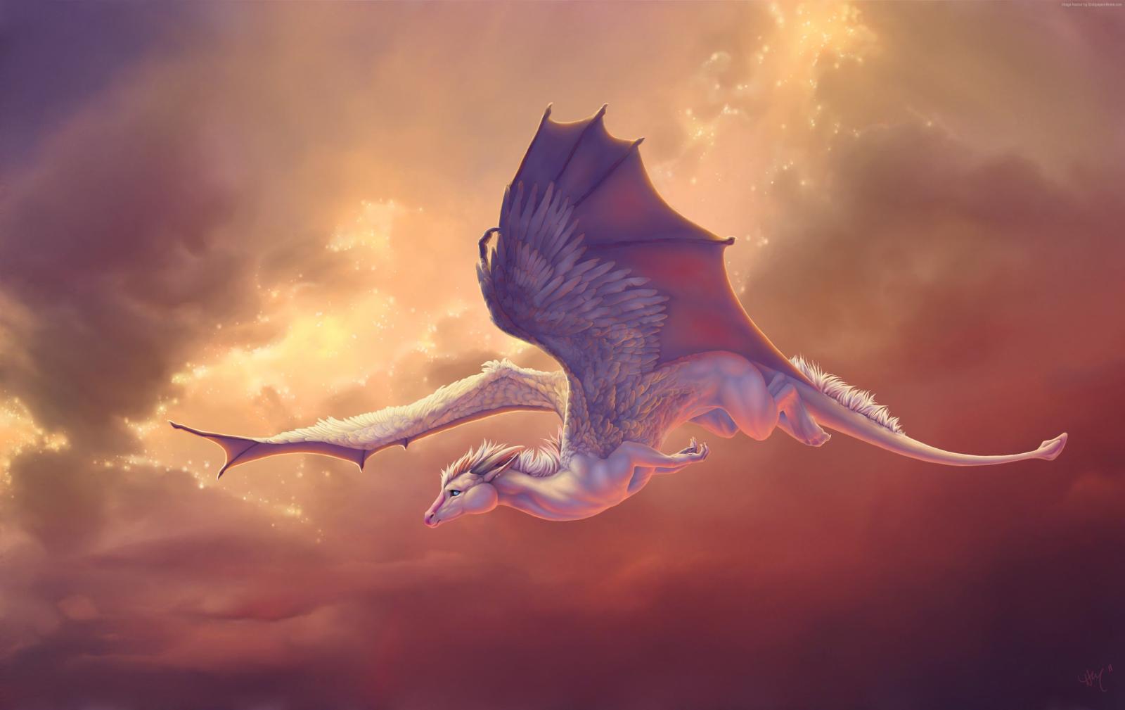 4262x2688 White wyvern HD wallpaper | Wallpaper Flare