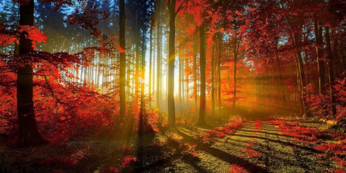 1920x1080 Beautiful Wallpapers | Best Wallpapers