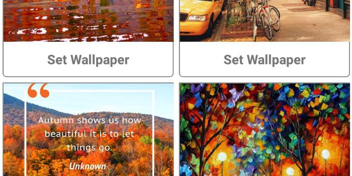 1080x1920 Beautiful 4-Seasons Full HD Wallpaper-Free for Android - APK Download