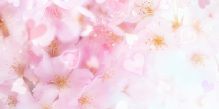 1920x1200 beauty-wallpaper-37.jpg » OFFICIAL HIJABI