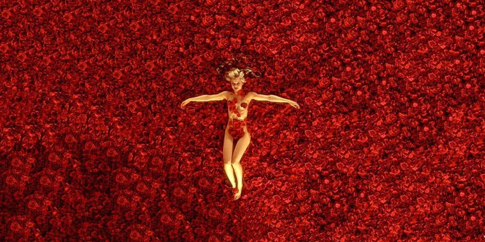 1600x1200 American Beauty Wallpapers