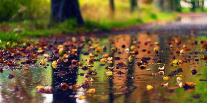 1600x1000 Season Wallpaper ,free download, (33) - cerc-ug.org