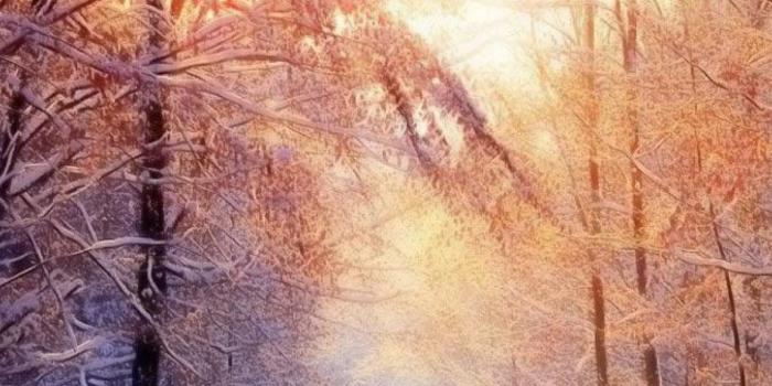 1440x2560 Seasons HD Wallpapers for HTC 10 | Page 3 | Wallpapers.Pictures