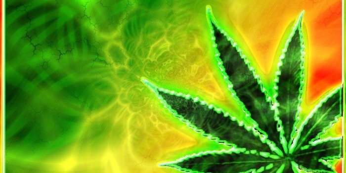 1024x768 Ganja Wallpapers