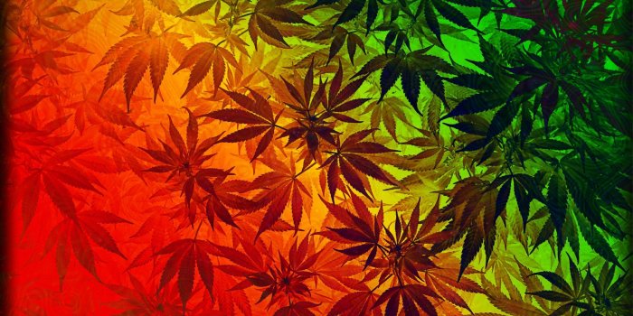 2666x1499 Ganja Wallpapers