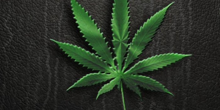 1080x1920 Best 45+ Ganja Backgrounds on HipWallpaper | Ganja Wallpaper, Ganja