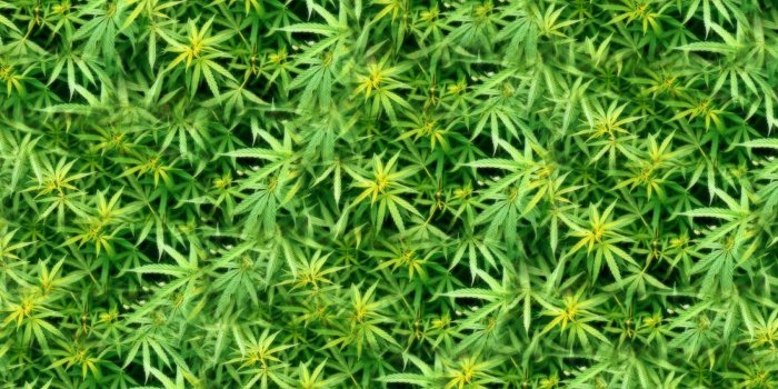 1680x1050 K,marijuana, Fresh Air, Smart Phone Wallpapers Ganja Weed, Healthy