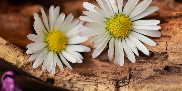 1080x1920 Free HD Beauty Phone Wallpaper...4458