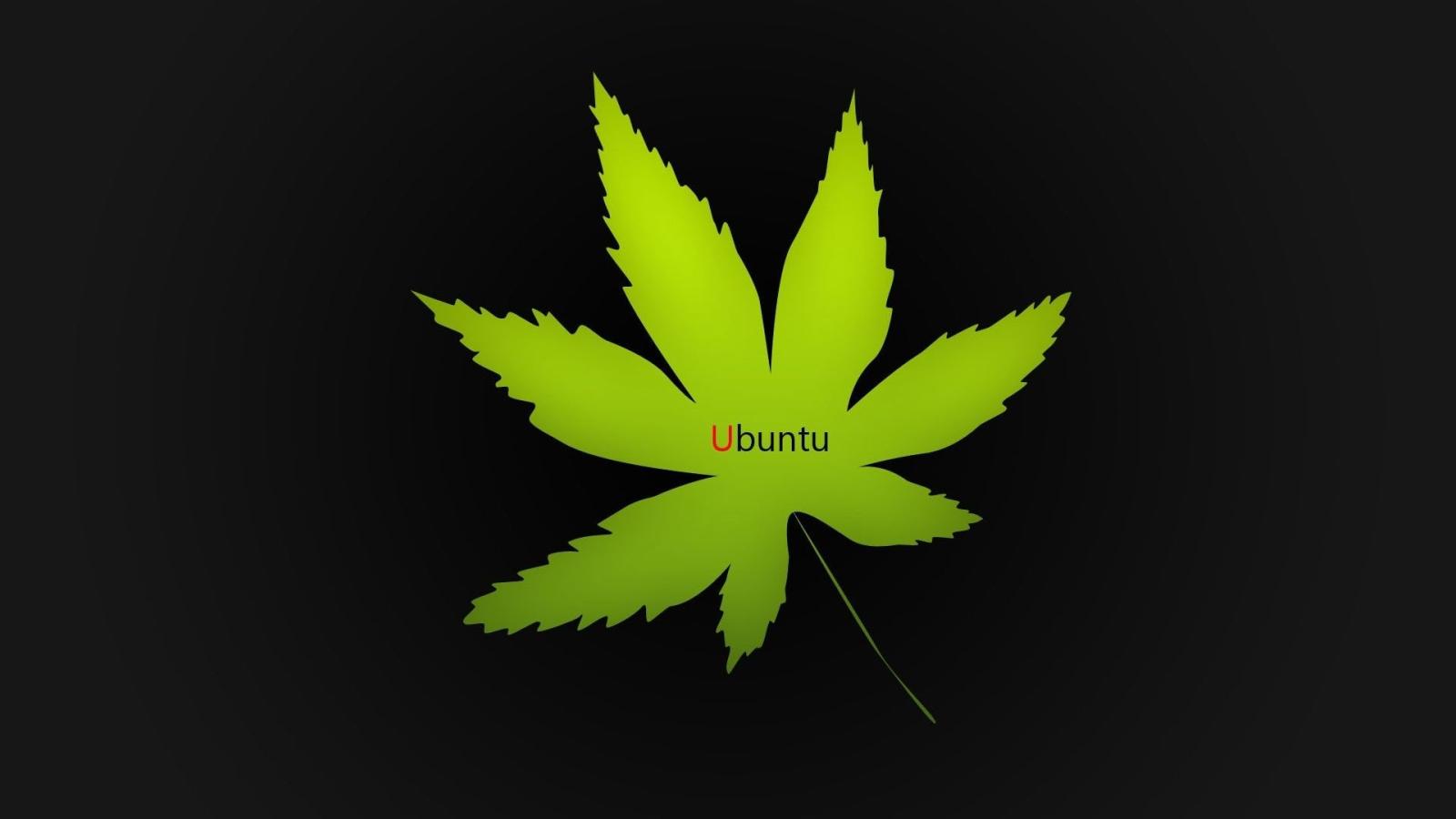 1920x1080 Ganja Marijuana Wallpaper Download Ganja Marijuana Wallpaper awesome