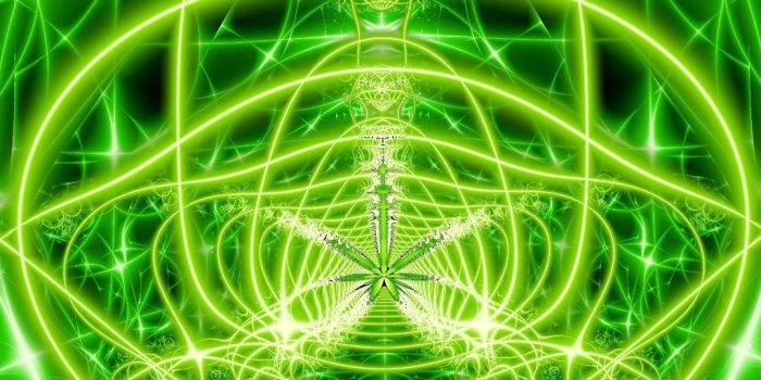 1024x768 Ganja Live Wallpaper for Android - APK Download