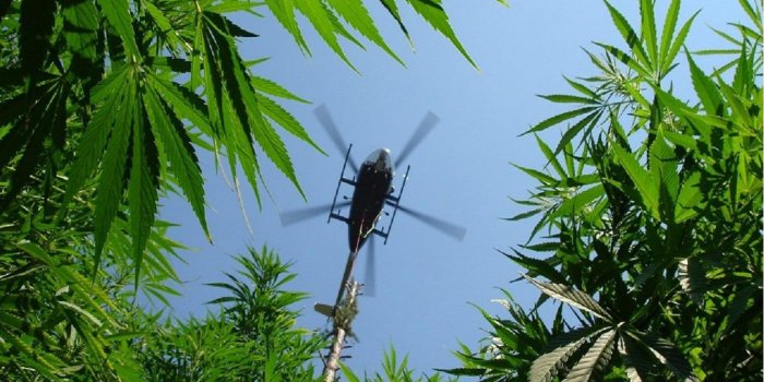 1680x1050 HD wallpaper: Bank of Ganja wallpaper, 420, marijuana, weed