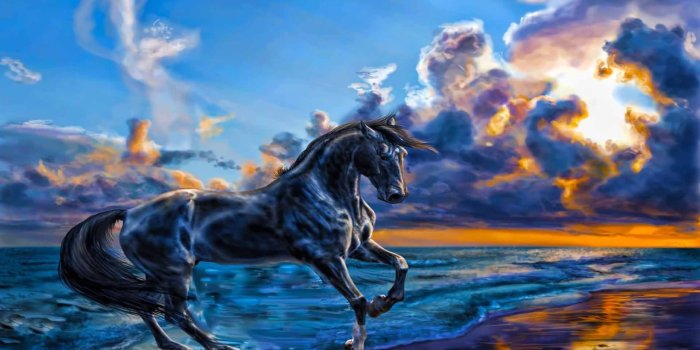 1920x1200 Beautiful Nature and Animal Wallpaper (50+ images)