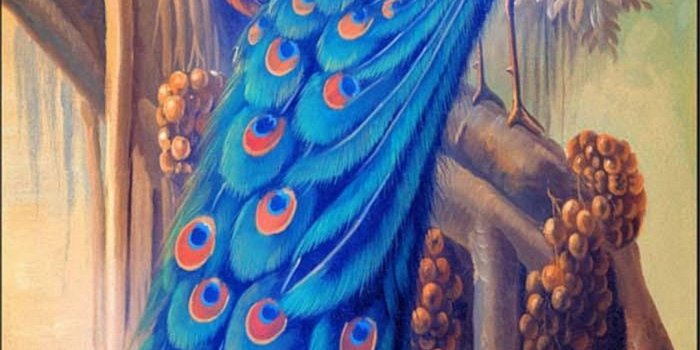 1080x1920 Beauty Peacock Wallpaper For Mobile | Best HD Wallpapers