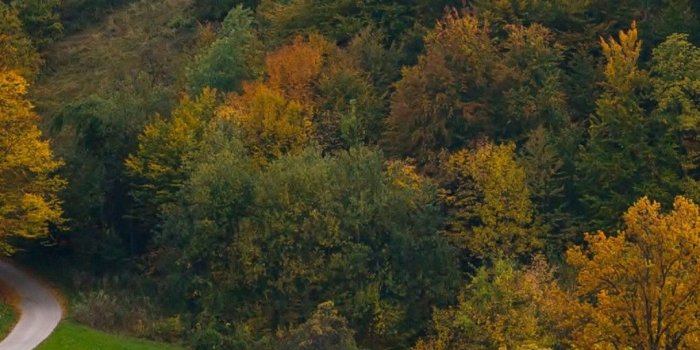 1080x2280 Earth Beauty Wallpaper - [1080x2280]