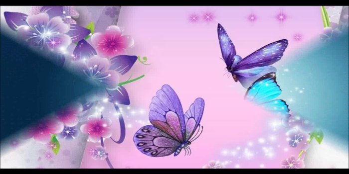 1280x720 Beautiful Butterfly Wallpapers HD Pictures