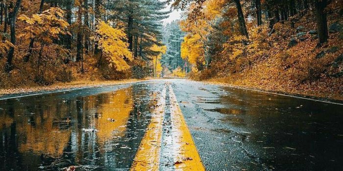 1080x1920 Amazing Road Beauty Wallpaper 4k 4k Phone Wallpapers, - Wet Road