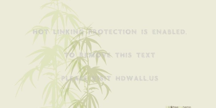 1280x800 ganja weed marijuana 1680x1120