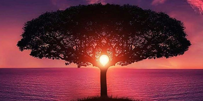 1080x1920 Aditya Bait on trending wallpapers | Beautiful nature