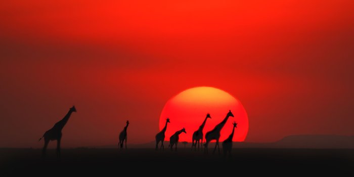 2880x1800 the top trending wallpapers of kenya - Wallpaper Aholic
