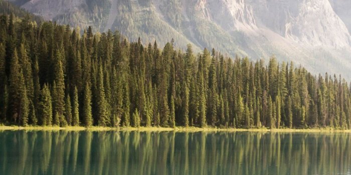 1440x2560 Mountain Lake Wallpaper - iPhone, Android & Desktop Backgrounds